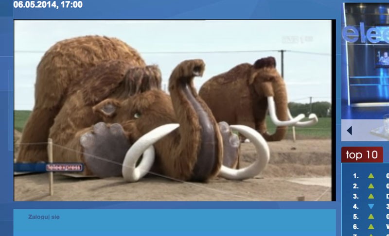 Mamuty ze Szczecinka także w Teleexpresie