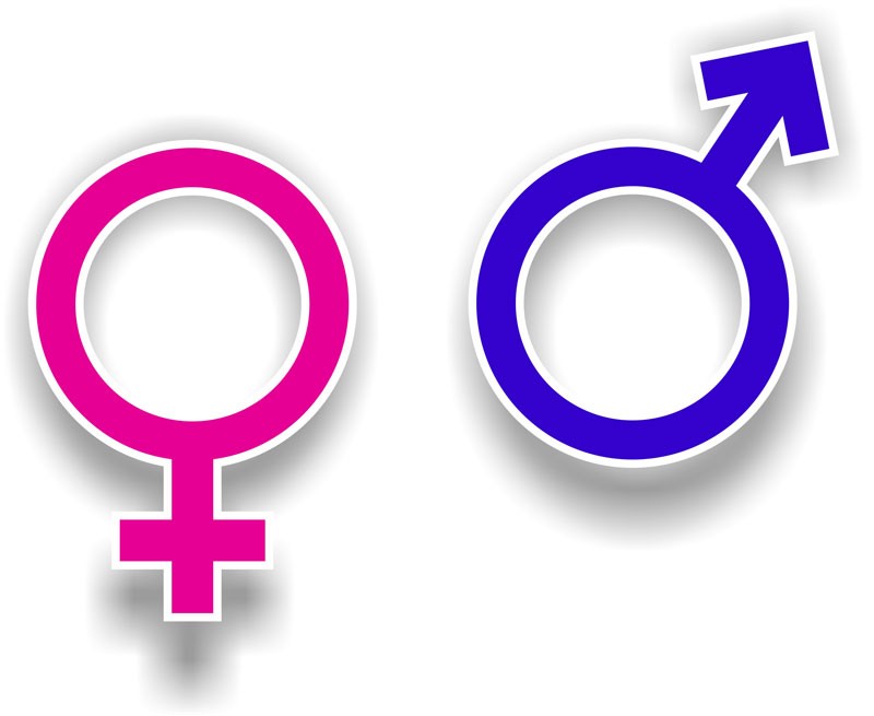 Gender po szczecinecku