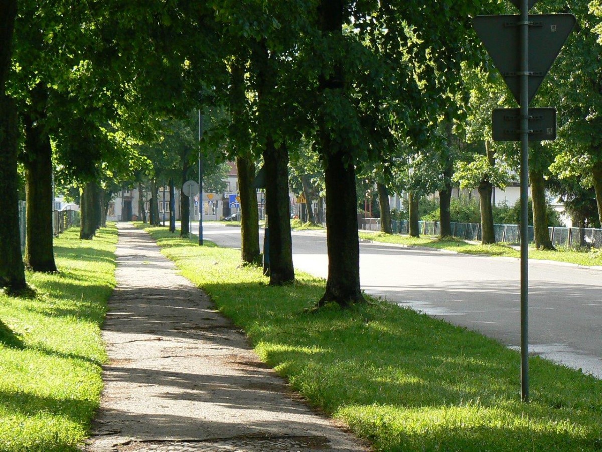 Trzech chętnych na ul. Piłsudskiego. Z Goleniowa najtańsi 