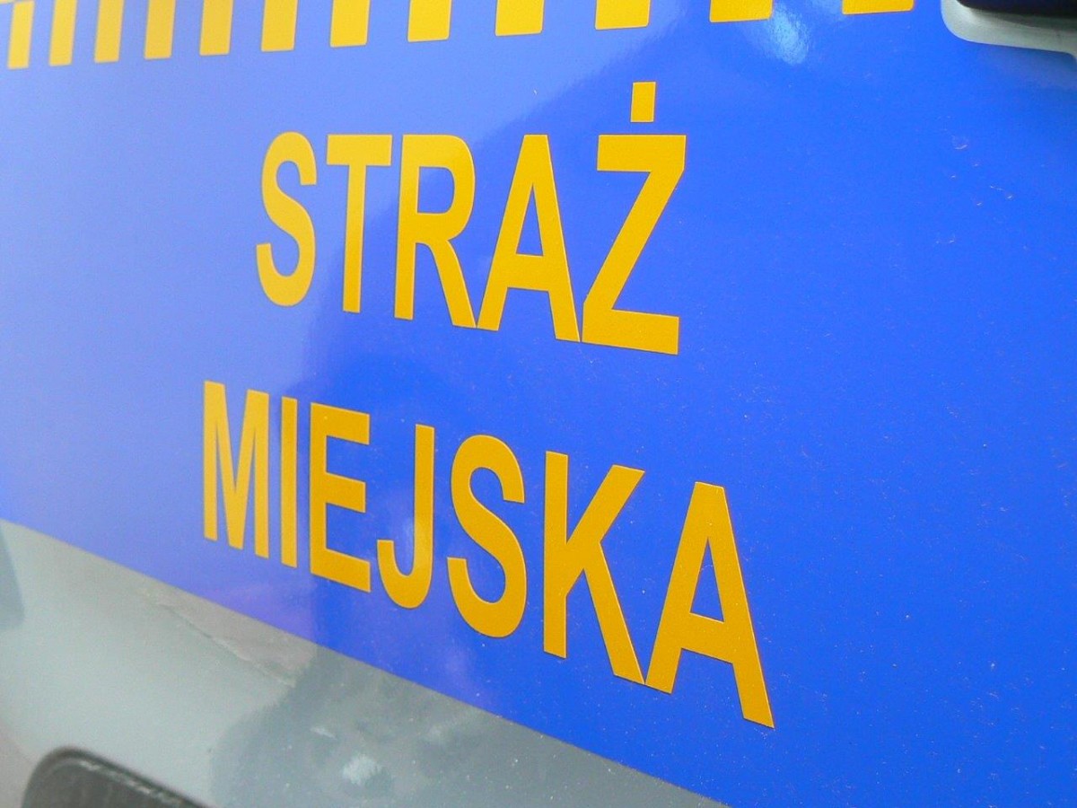 17-latkowie z narkotykami na boisku szkolnym