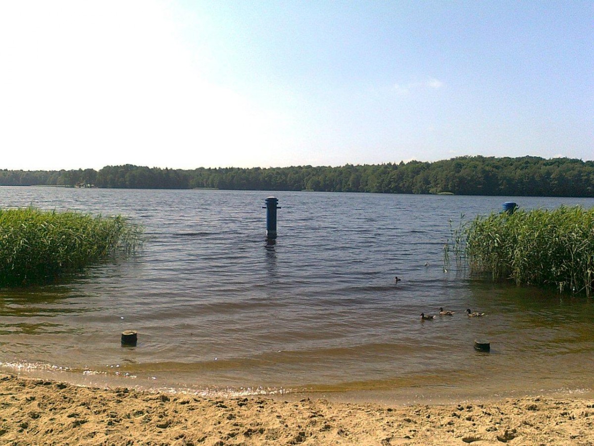 Dzikie plaże czyste. Można się kąpać