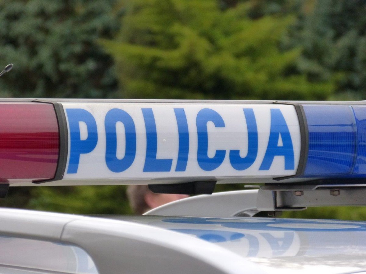 Zniszczył płot i... biegał po samochodzie