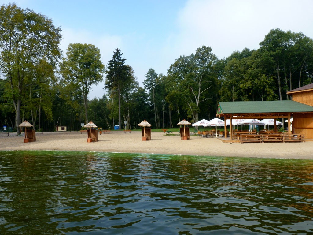 Na Mysią najtaniej piechotą