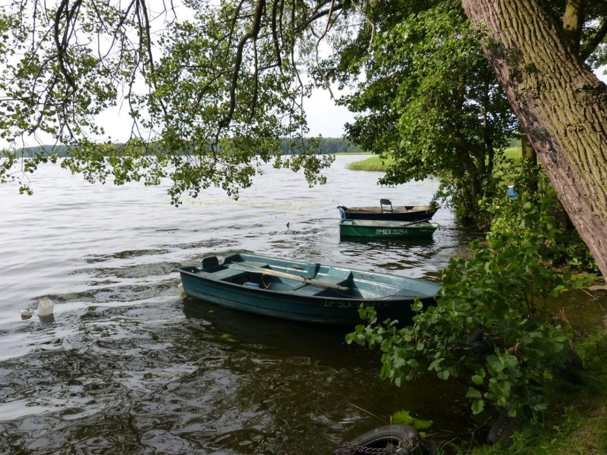 Sinice na razie nie „lubią” Trzesiecka