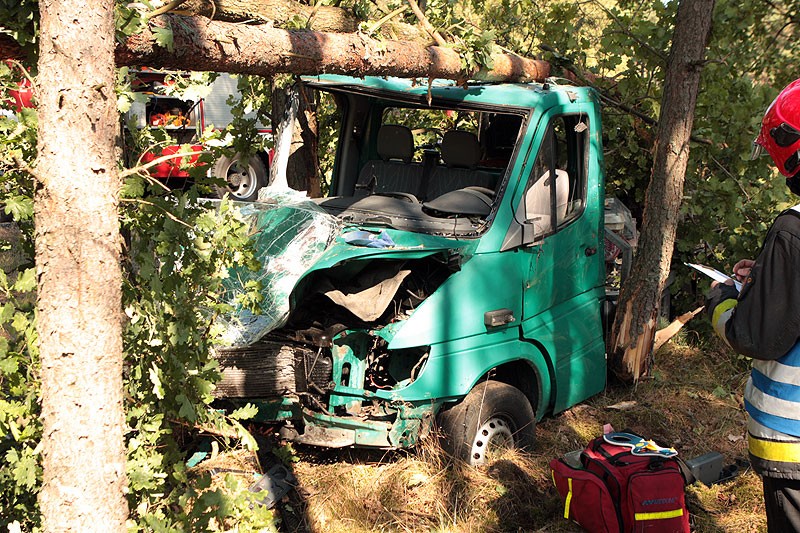 Wypadek na dwudziestce. Mercedes wjechał w zagajnik i skosił drzewa