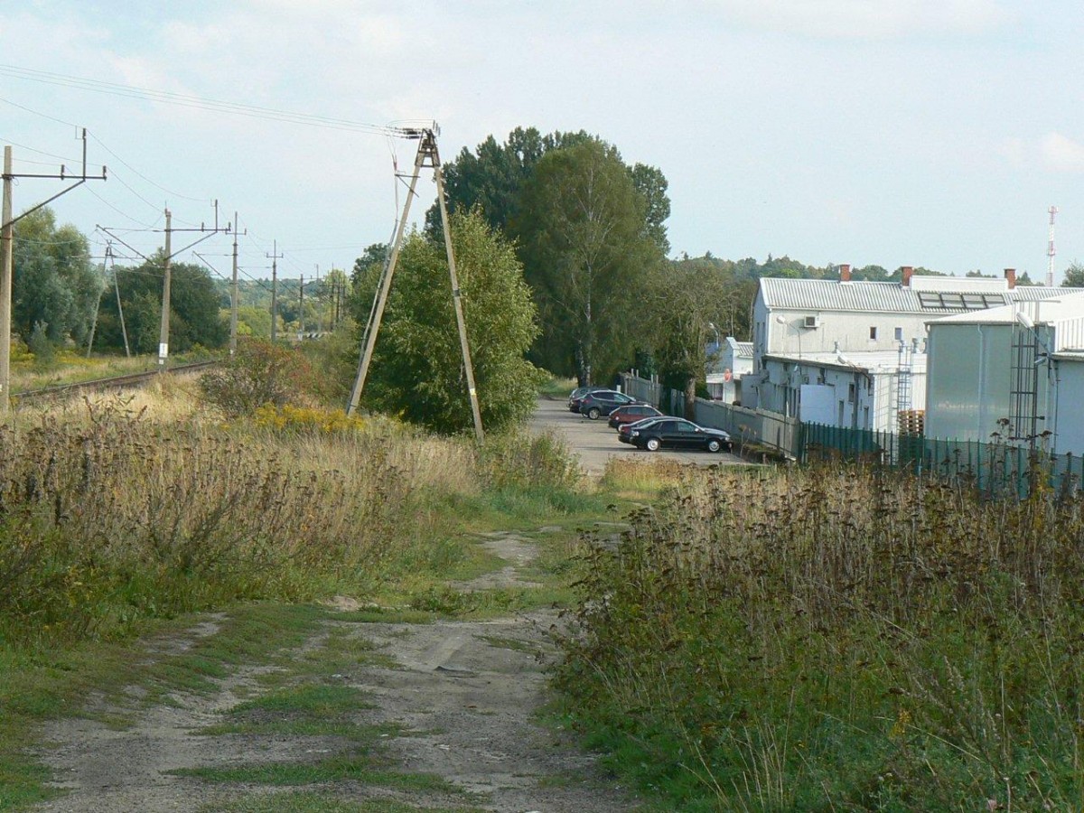 Schetynówka obok kopert