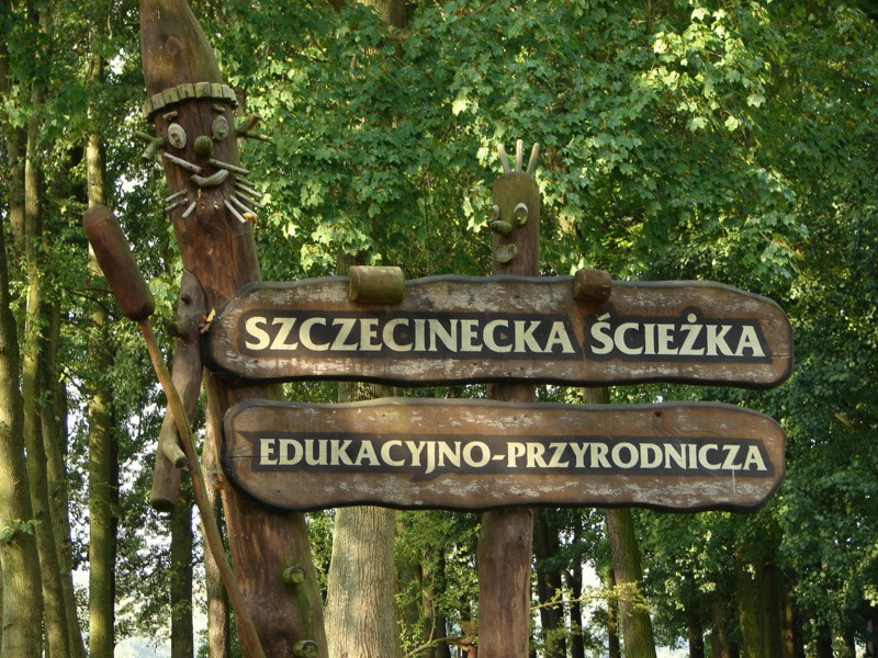 Plac zabaw w szczecineckim parku domaga się remontu