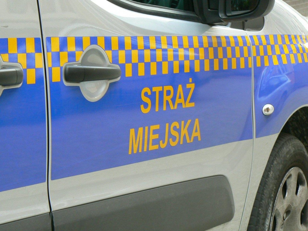 Pijani na rowerach, pijący na ulicy, bójka uczniów