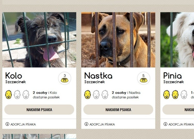 Żeby nakarmić psa, wystarczy kliknąć