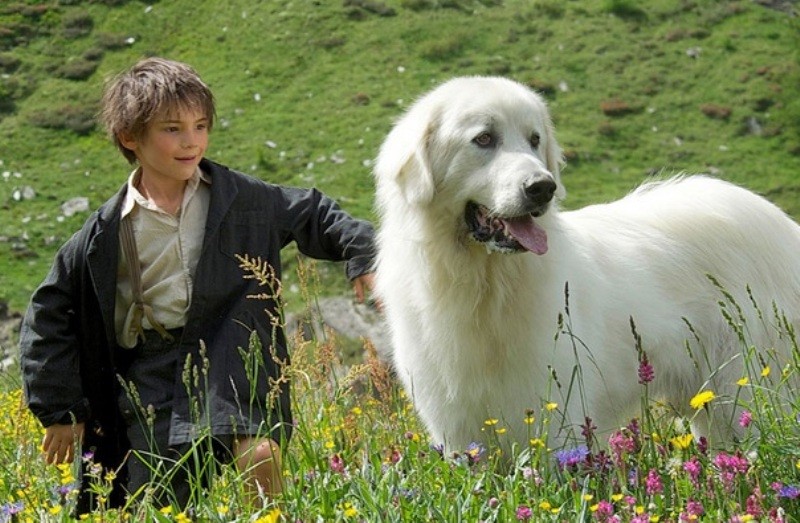 Bella i Sebastian, Lewiatan i coś jeszcze