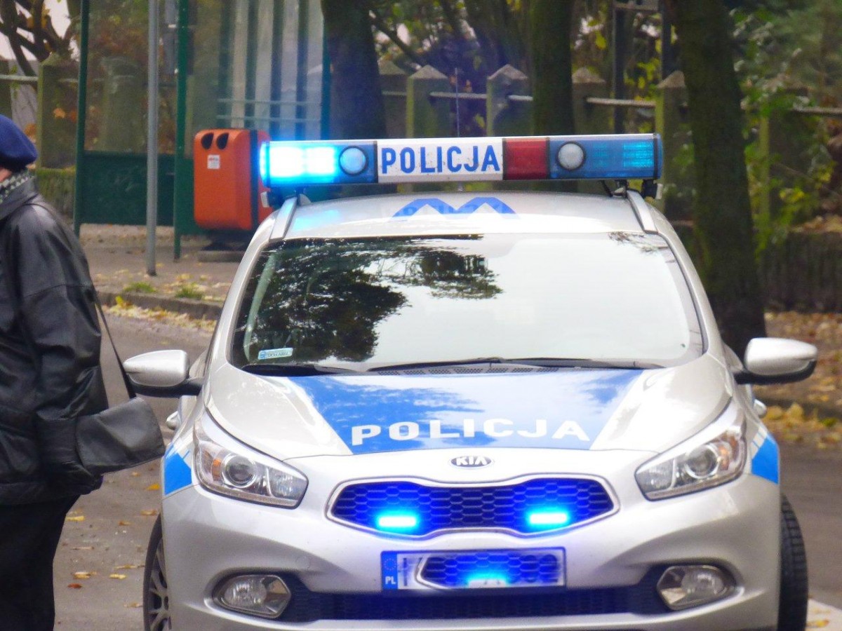 Ukradli wino, kosę, kurtkę i kołowrotek, skopali audi