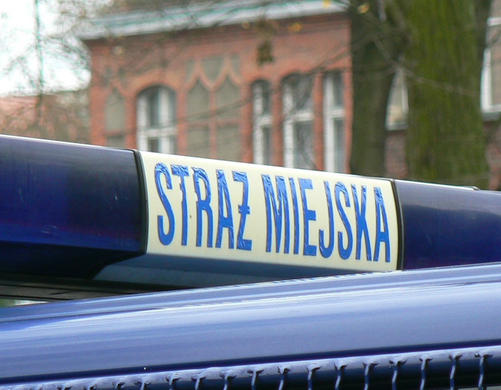 75 interwencji, 7 mandatów, rozbity radiowóz i problem z bezdomnymi
