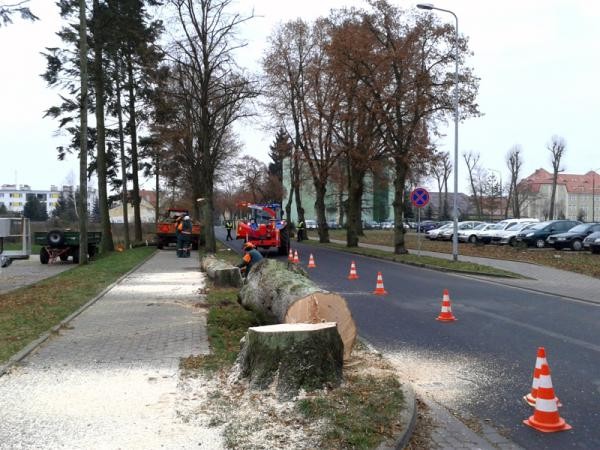 Lipy wycięte dla bezpieczeństwa nie tylko policjantów