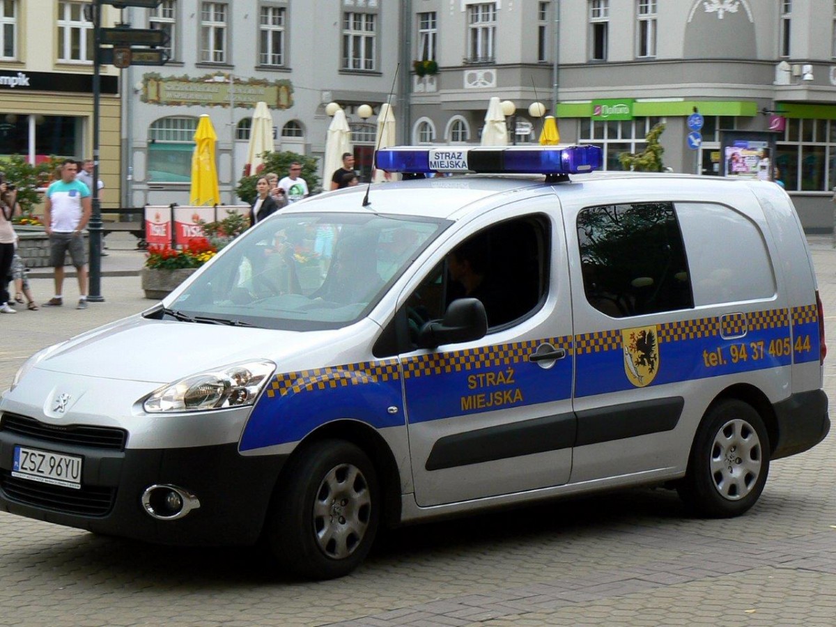 Ponad 10 tysięcy mandatów w rok