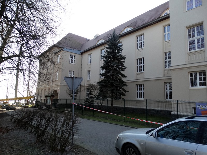 Szczecinecki park: Czy nie za dużo tej przycinki?
