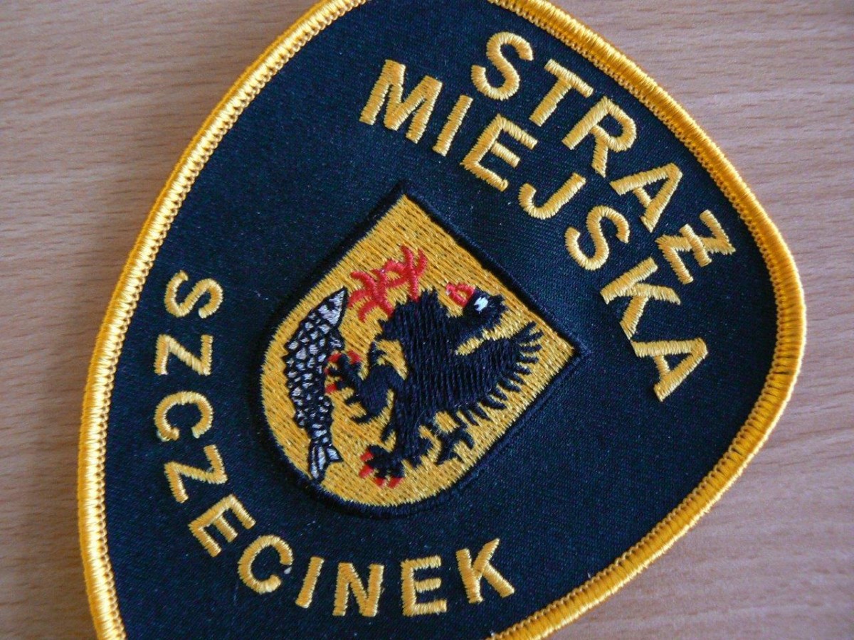 142 interwencje, w tym 59 z monitoringu