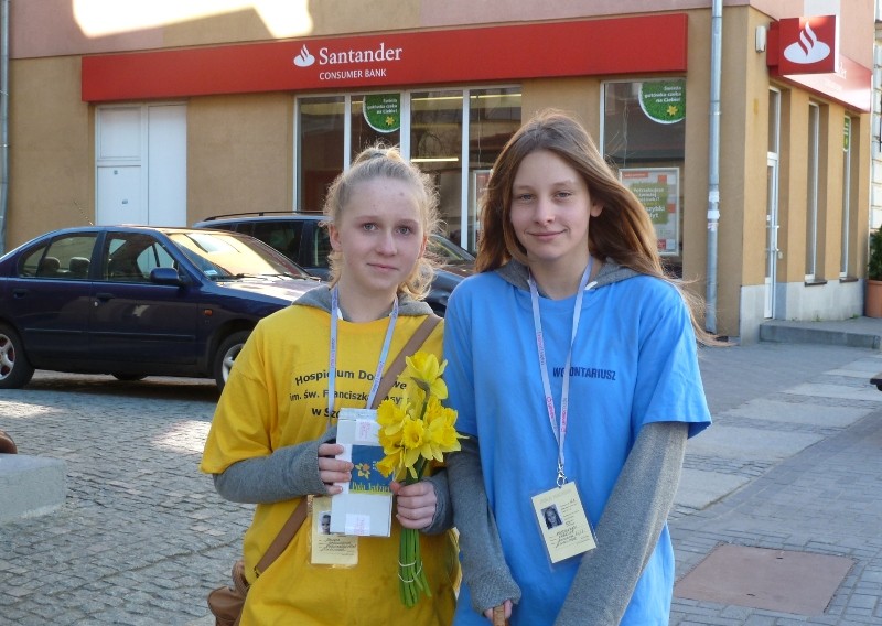 Rozdając żonkile, kwestują na hospicjum