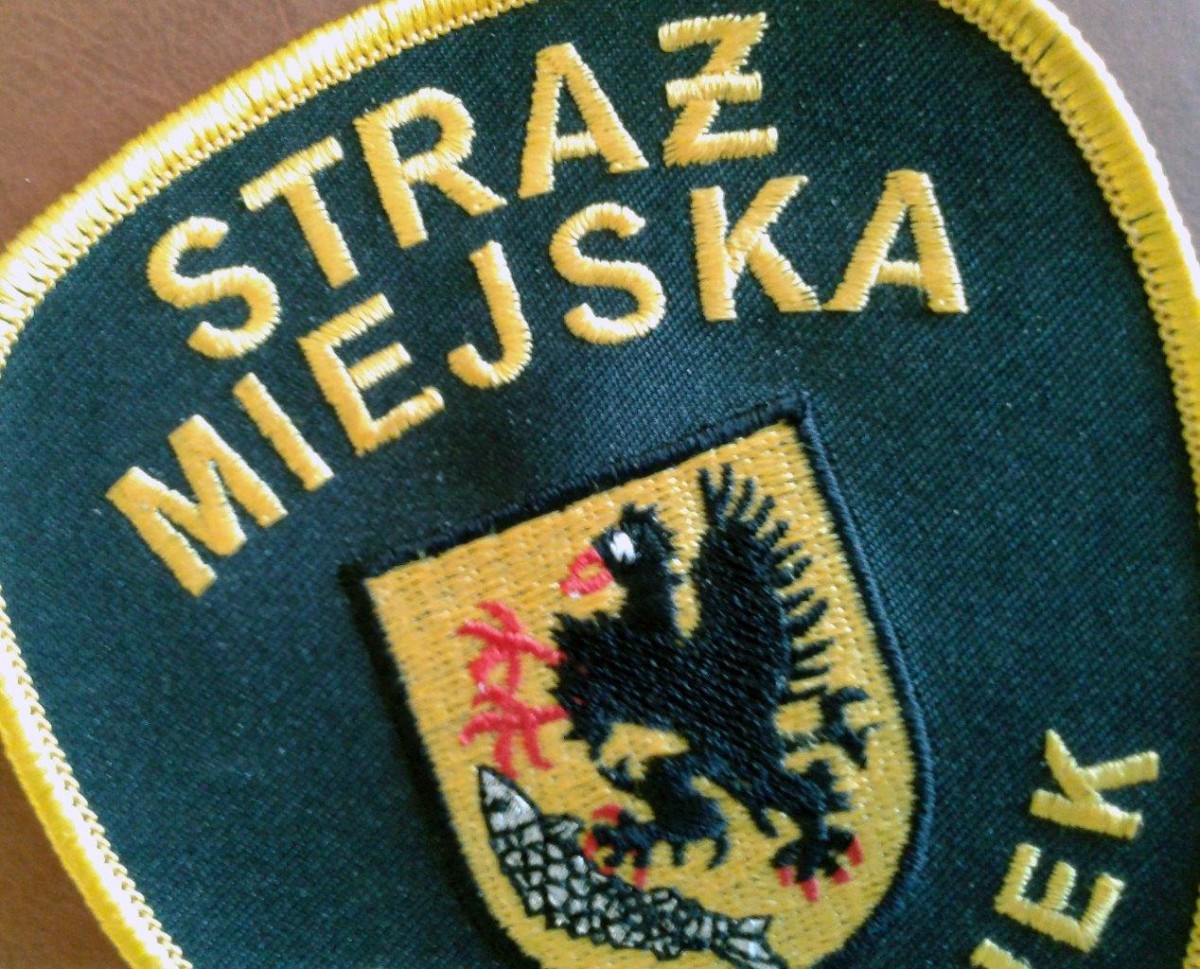 Skasują szczecinecką Straż Miejską? Podpisów przybywa, będzie referendum