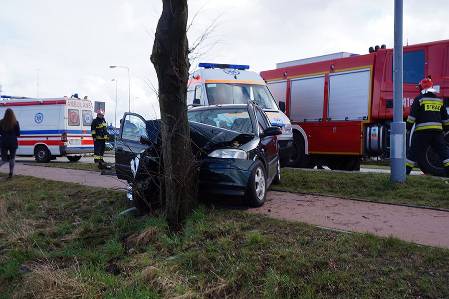 Zasłabł i uderzył w drzewo