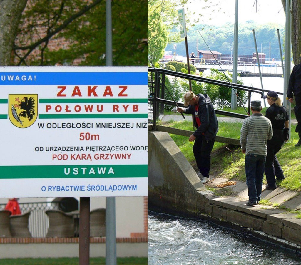Kłusownicy na Niezdobnej łowią ryby