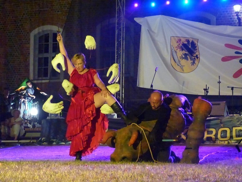 Szczecinecki Art Piknik AD 2015. Program imprezy