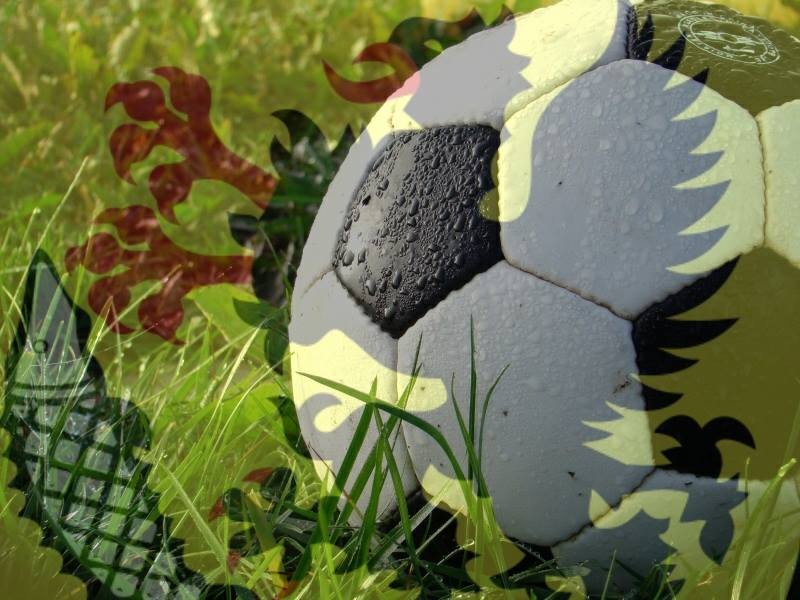 Zagrają na licencji Darzboru, ale z kim?