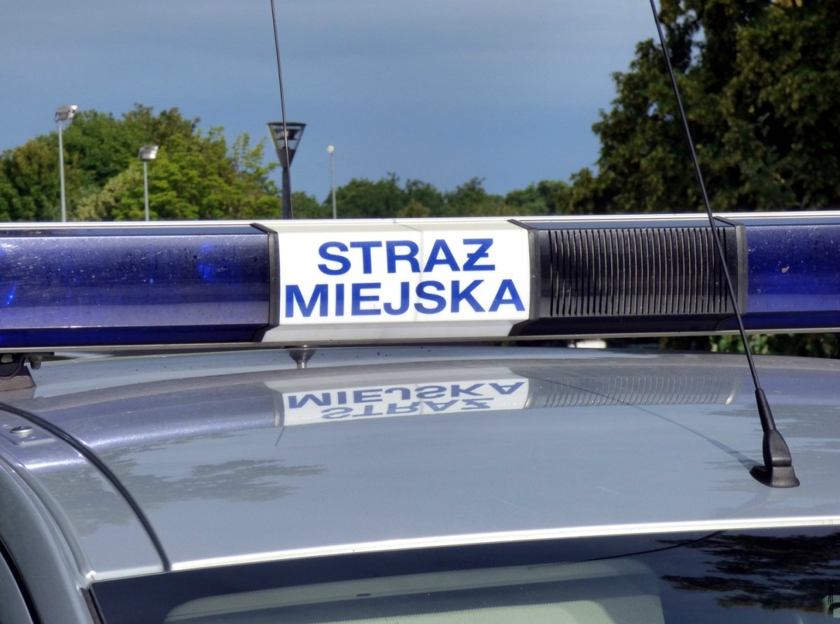 Złomiarze z kratami i obudową studzienki kanalizacyjnej