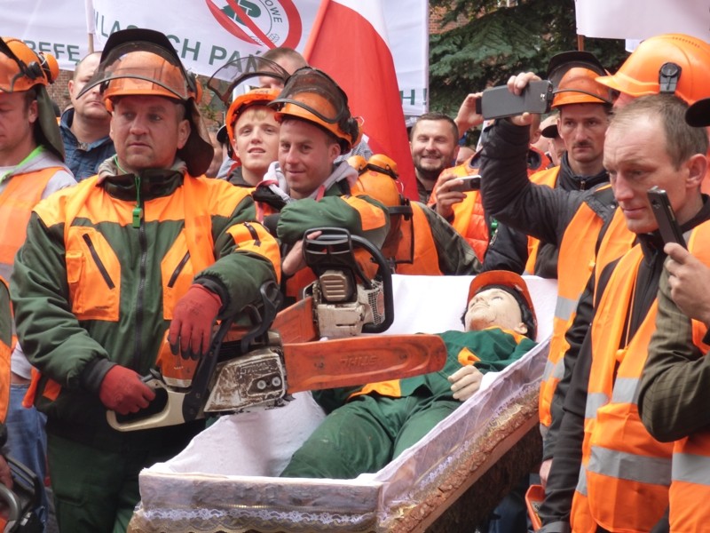 Ponieśli drwala w... trumnie. Pracownicy leśni protestują przeciw szarej strefie w samej RDLP
