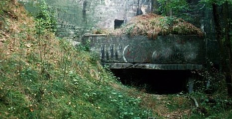 Wakacje z Tematem: - Odpocząć w cieniu bunkrów
