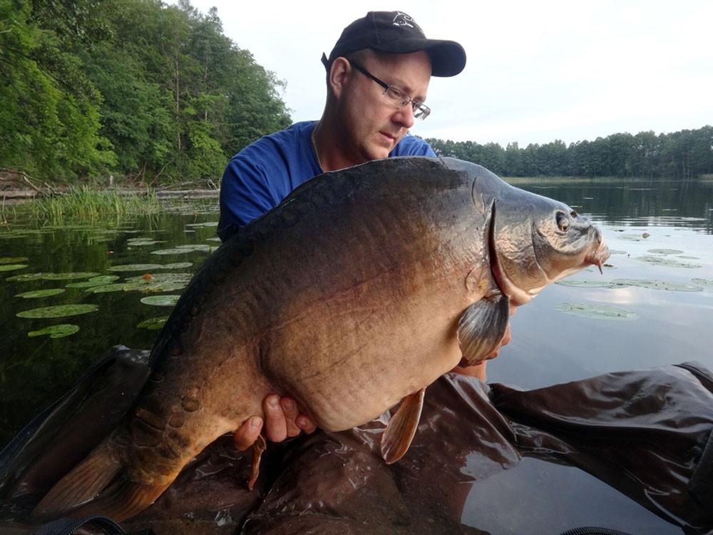 Karpie giganty z jeziora Leśne