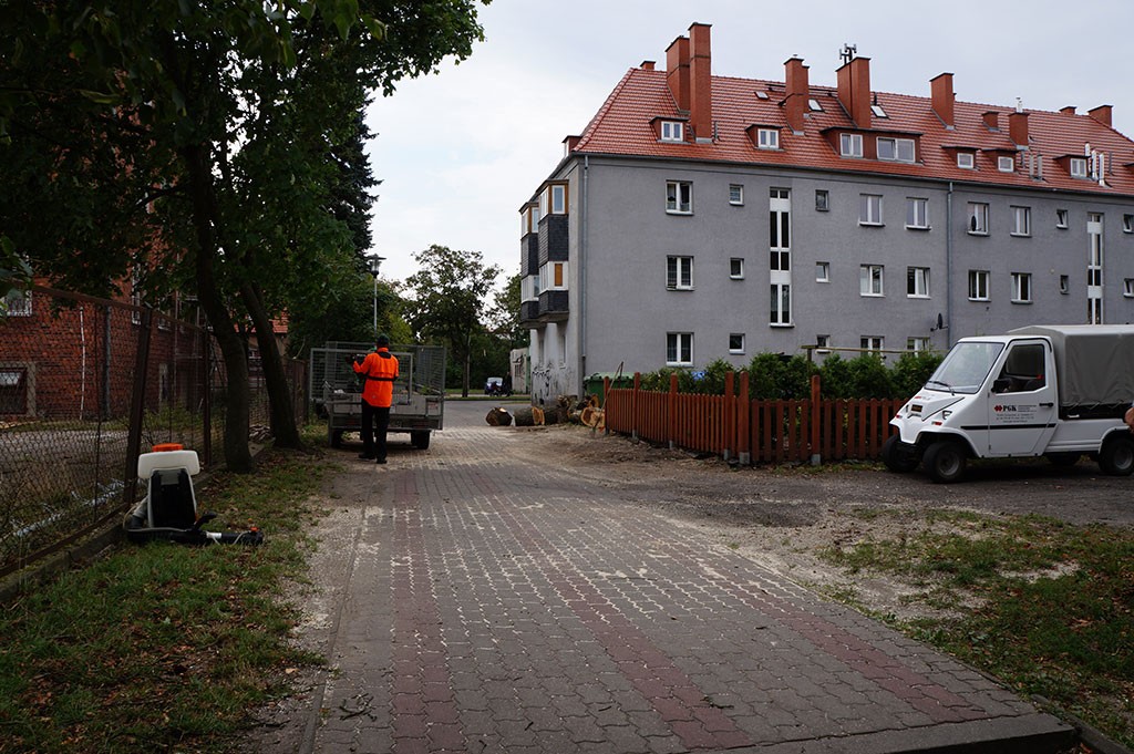 Stare klony usunięte... na wniosek mieszkańców