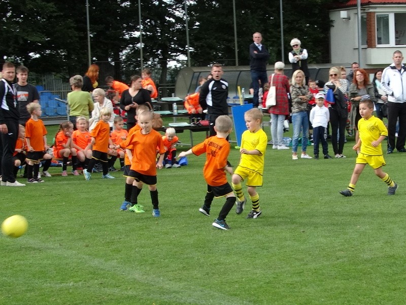 Maluchy kochają piłkę nożną. Skrzat Cup 2015