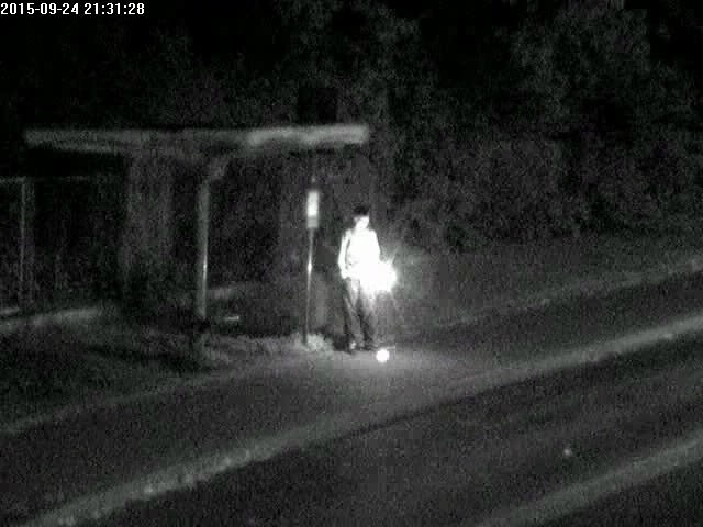 Pijany za kierownicą, krowy na jezdni i awanturnik z nożem w ręku