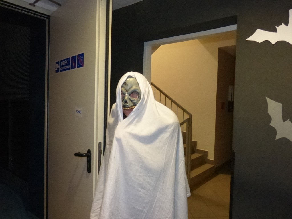 Chmary nietoperzy, zmory i zjawy. Noc Horrorów w kinie Wolność