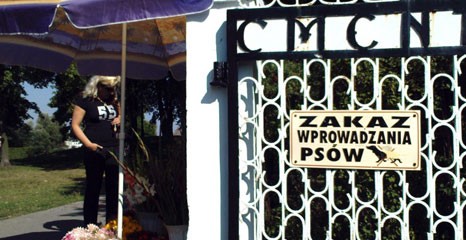 Psom na cmentarz wstęp wzbroniony
