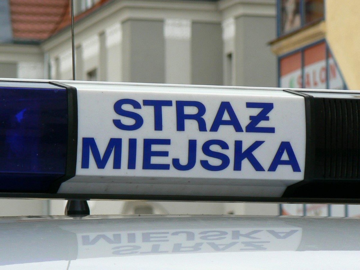 Prowokował przechodniów na deptaku, otrzymał cios (wideo)