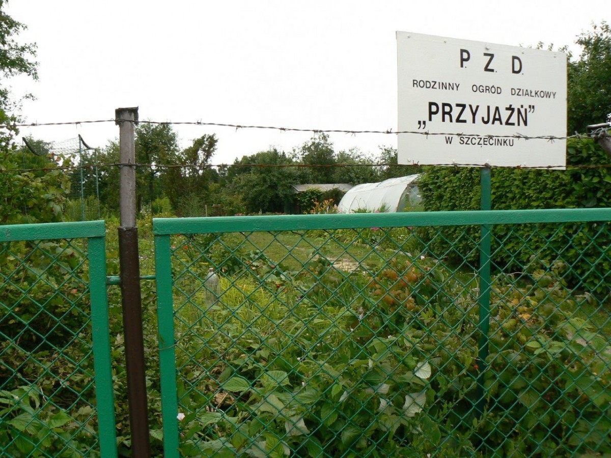 Spór o ogrody na Szczecińskiej. Sąd przyznaje rację miastu