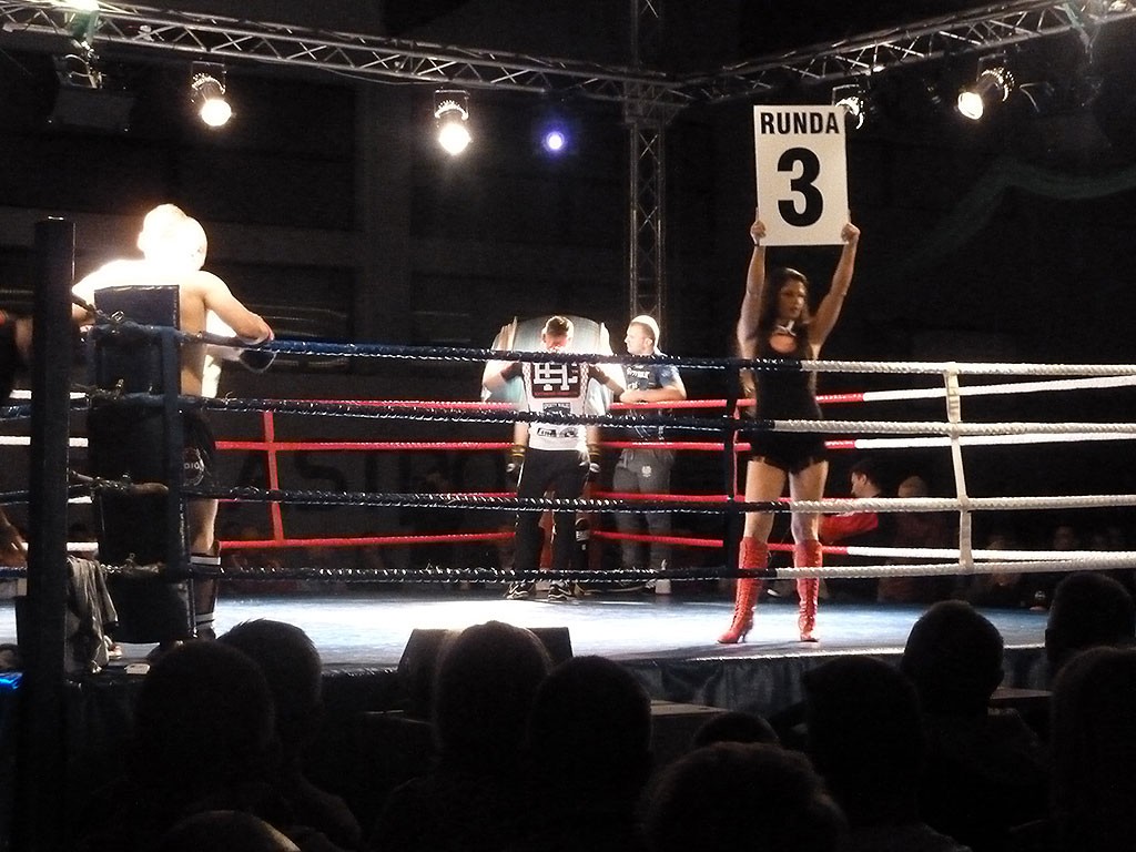 Gala KSW. Wszystkie walki wygrali Polacy