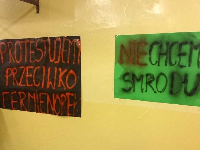 Najpierw hodowla, potem pozwolenia? Norki powracają ze zdwojoną siłą