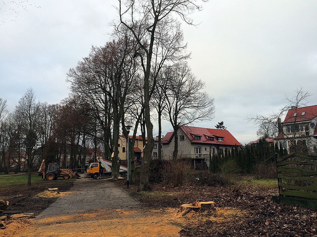 Wycinają lipy, mieszkańcy są czujni