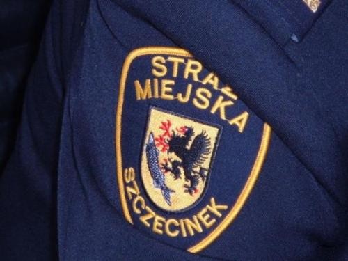 Ranna sarna, przemarznięci bezdomni i zniszczony przystanek