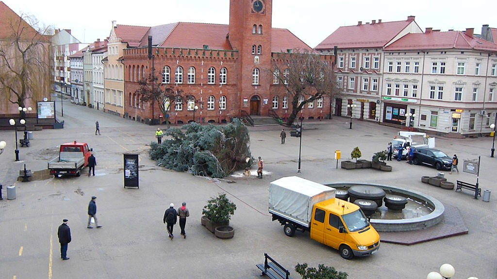 Świerku w centrum Szczecinka już nie ma