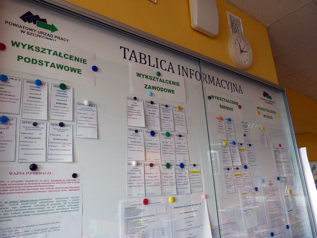 Elektryk, instruktor jazdy konnej, pracownik zakładu pogrzebowego