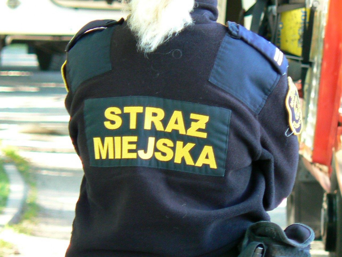 160 interwencji w tydzień