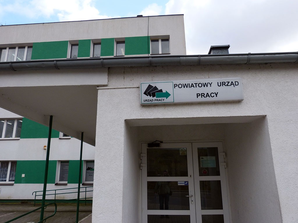 Betoniarz, fryzjer, grafik, kucharz
