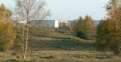 Pracujemy na serwerze, są utrudnienia – będzie lepiej
