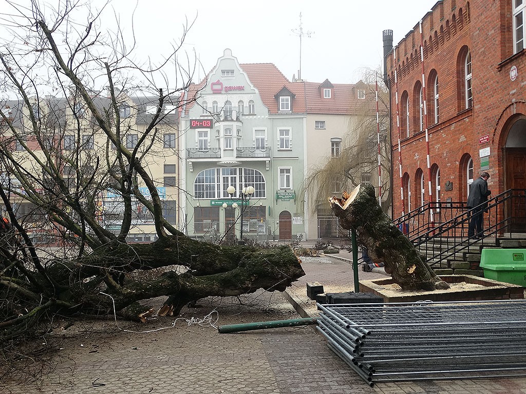 Dwóch drzew już nie ma, fontanna ginie w oczach