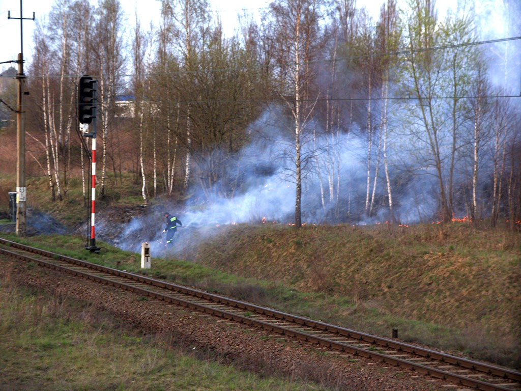 Seria pożarów traw w Szczecinku. To podpalenia