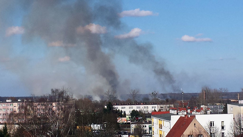 Wielki pożar traw w Szczecinku. Ktoś wzniecał ogień w nowych punktach (wideo)