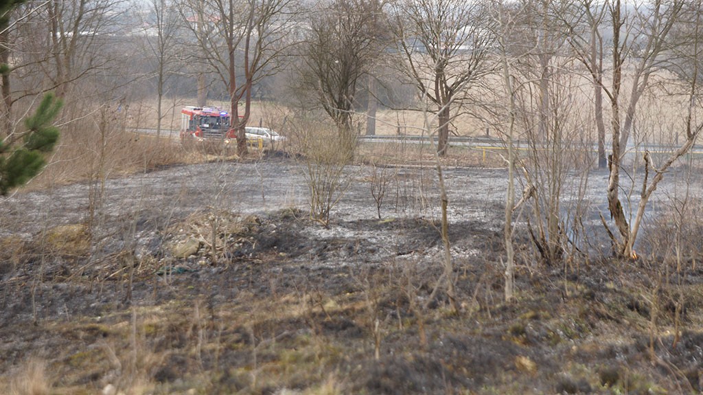Płonące 2 ha niedaleko osiedla Marcelin